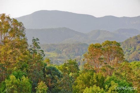 Property photo of 255 Chilcotts Road Crystal Creek NSW 2484