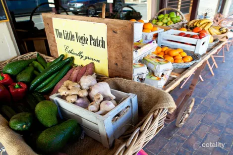 Property photo of 10 Musk Duck Avenue Chiton SA 5211
