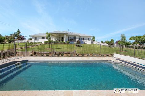 Property photo of 19 Benandarah Court Moore Creek NSW 2340