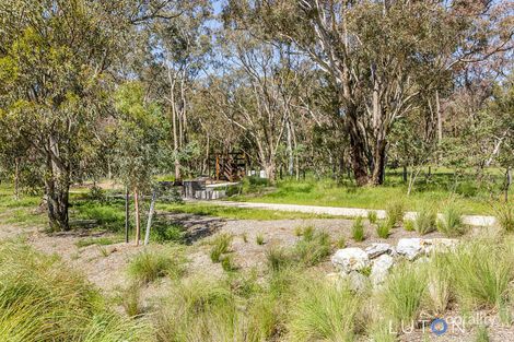 Property photo of 78 Blizzard Circuit Forde ACT 2914