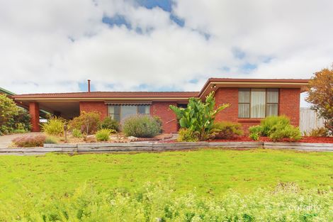 10 Grosser St, Millicent, SA 5280