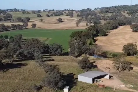 2350 George Russell Dr, Canowindra, NSW 2804