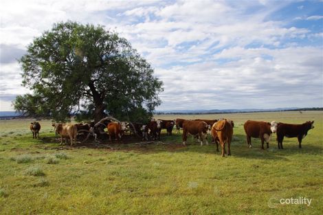 16884 Kamilaroi Hwy, Baan Baa, NSW 2390