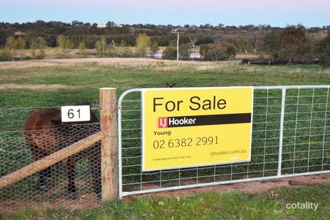 61 Tierneys Rd, Young, NSW 2594