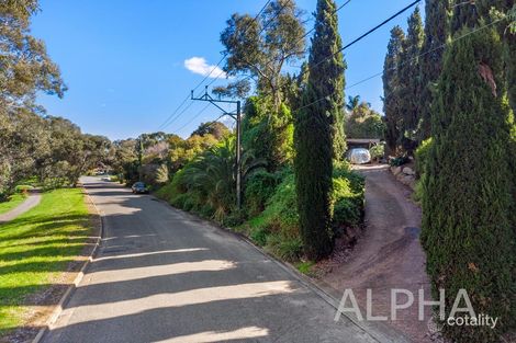 Property photo of 7 Amanda Drive Surrey Downs SA 5126