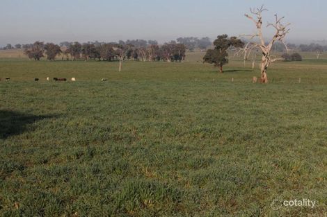 Property photo of 3311 Henry Parkes Way Manildra NSW 2865