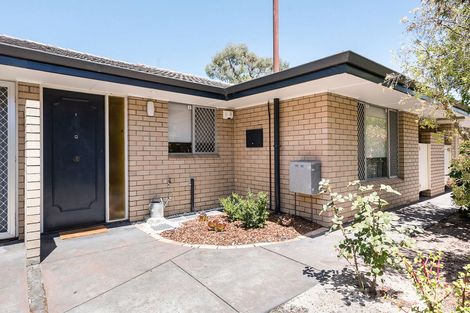 2/23 Alvan St, Mount Lawley, WA 6050