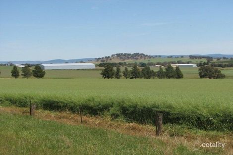 2266 Canowindra Rd, Canowindra, NSW 2804