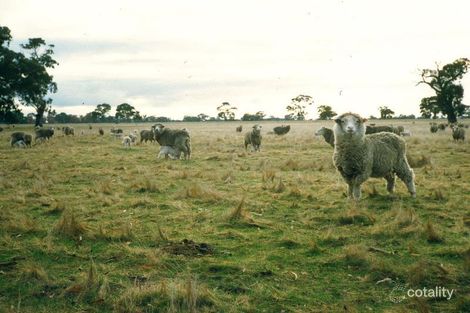Property photo of 295 Gould Road Currency Creek SA 5214