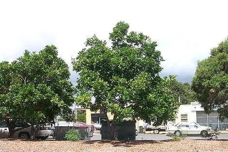 1 Herbertson St, West Gladstone, QLD 4680