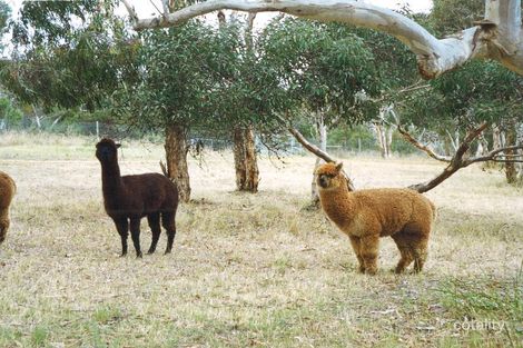 Property photo of 295 Gould Road Currency Creek SA 5214