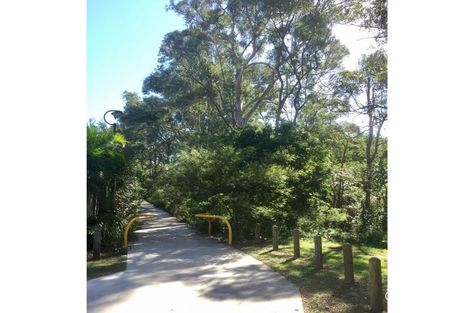 Property photo of 79 Bellevue Avenue Gaythorne QLD 4051