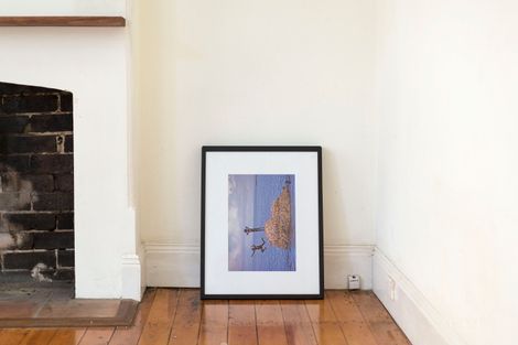 Property photo of 12 Hoddle Street Paddington NSW 2021