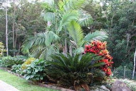 Property photo of 42 Fern Gully Place Mooloolah Valley QLD 4553