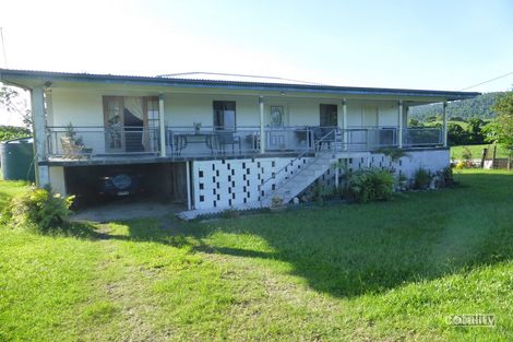 Property photo of 156 Walter Lever Estate Road Walter Lever Estate QLD 4856