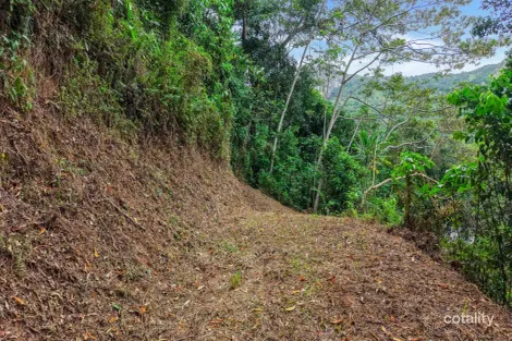 Property photo of 6 Cananga Close Kamerunga QLD 4870