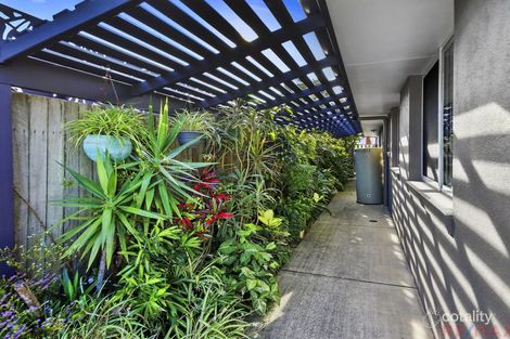 Property photo of 4 Tigerlily Court Little Mountain QLD 4551