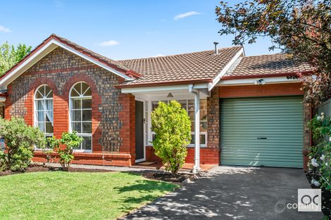 67 Winchester St, Malvern, SA 5061