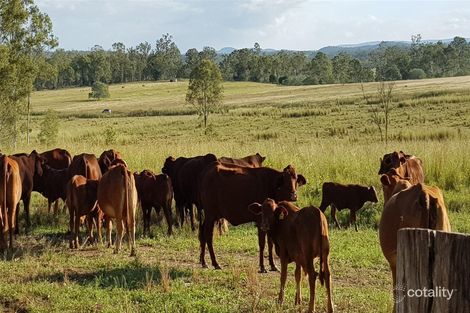 503 Walla Rd, Morganville, QLD 4671