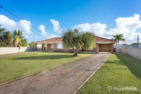 4a Bourdman Pl, Spalding, WA 6530