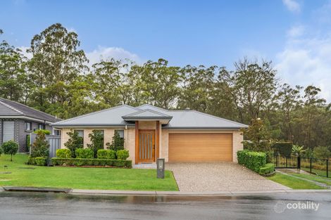Property photo of 13 Quandong Place Kew NSW 2439