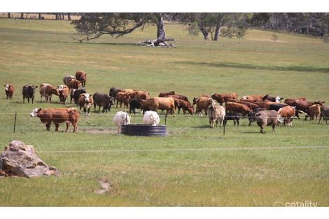 Property photo of 940 Battunga Road Meadows SA 5201