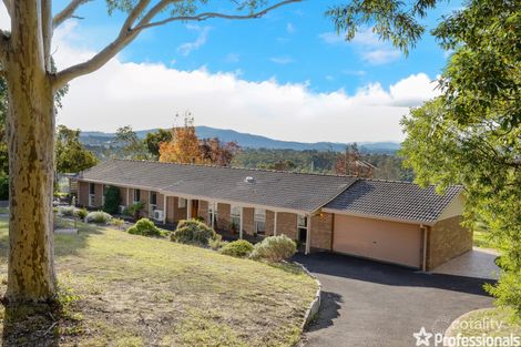 240 Schoolhouse Rd, Woori Yallock, VIC 3139