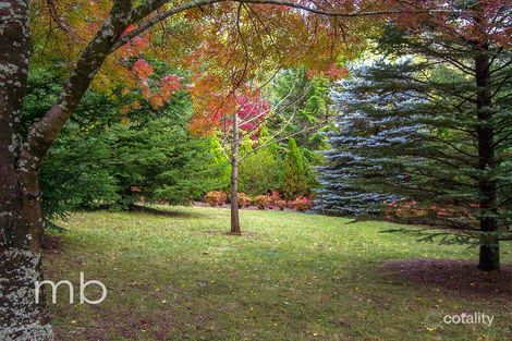 Property photo of 32 Walker Lane Canobolas NSW 2800