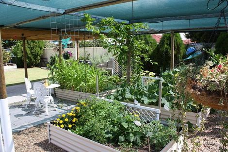 Property photo of 38 Raff Street Allora QLD 4362