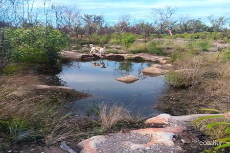 872 South Rd, Tara, QLD 4421