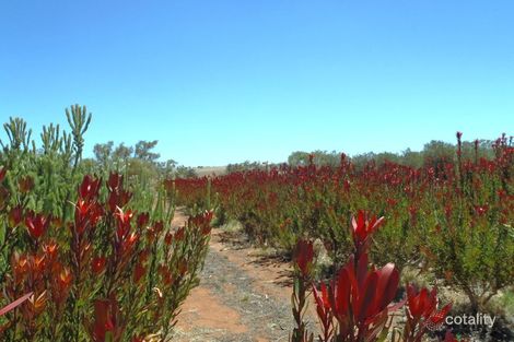 271 Isseka Rd E, Bowes, WA 6535