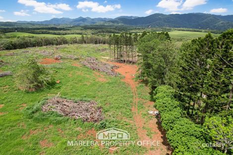 Property photo of 1000 Mossman-Mount Molloy Road Julatten QLD 4871