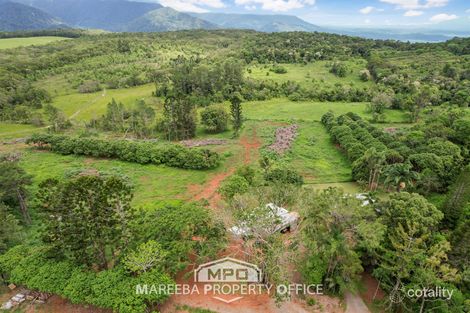 Property photo of 1000 Mossman-Mount Molloy Road Julatten QLD 4871