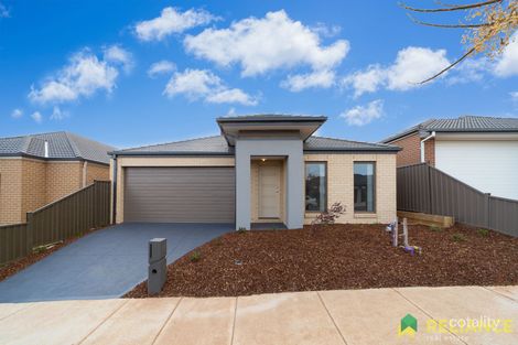 17 Crystal Rd, Cobblebank, VIC 3338
