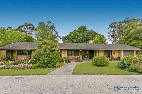 Property photo of 49 Waddell Road Drouin VIC 3818