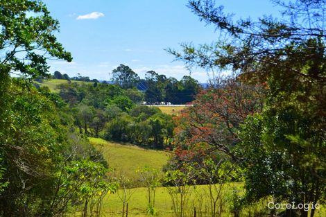 Property photo of 53 Kings Lane Maleny QLD 4552