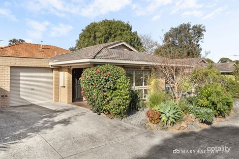 2/56 Red Bluff St, Black Rock, VIC 3193