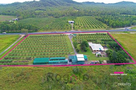 Property photo of 4121 Kennedy Highway Mareeba QLD 4880