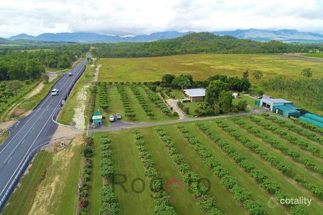 Property photo of 4121 Kennedy Highway Mareeba QLD 4880