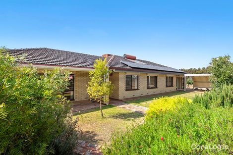 Property photo of 12614 Sturt Highway Waikerie SA 5330