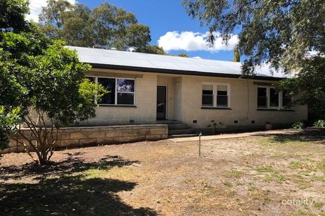 19 Cedar Ave, Naracoorte, SA 5271