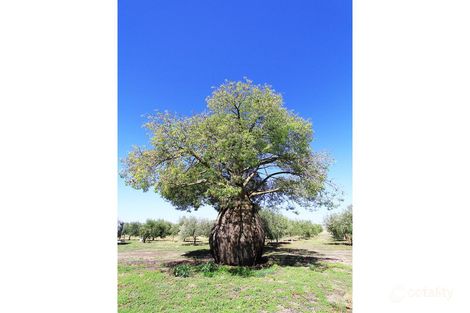 Property photo of 24A Carmody Road Toolleen VIC 3551