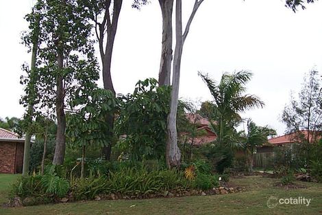Property photo of 118 Channel Street South Cleveland QLD 4163