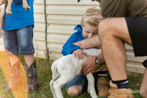 Property photo of 2 Yellow Box Place Springvale NSW 2650