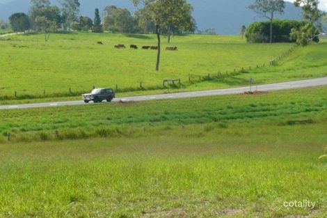 Property photo of 20 Meadow Road Julatten QLD 4871