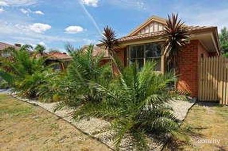 Property photo of 7 Brady Close Lynbrook VIC 3975