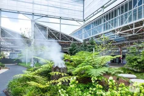 Property photo of 10 Henry Street Tonsley SA 5042