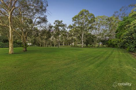 Property photo of 50 Tollett Street Chandler QLD 4155