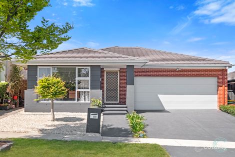 56 Turbayne Cres, Forde, ACT 2914