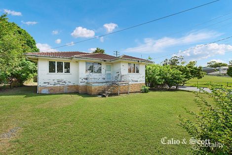 Property photo of 14 Rensburg Street Brighton QLD 4017